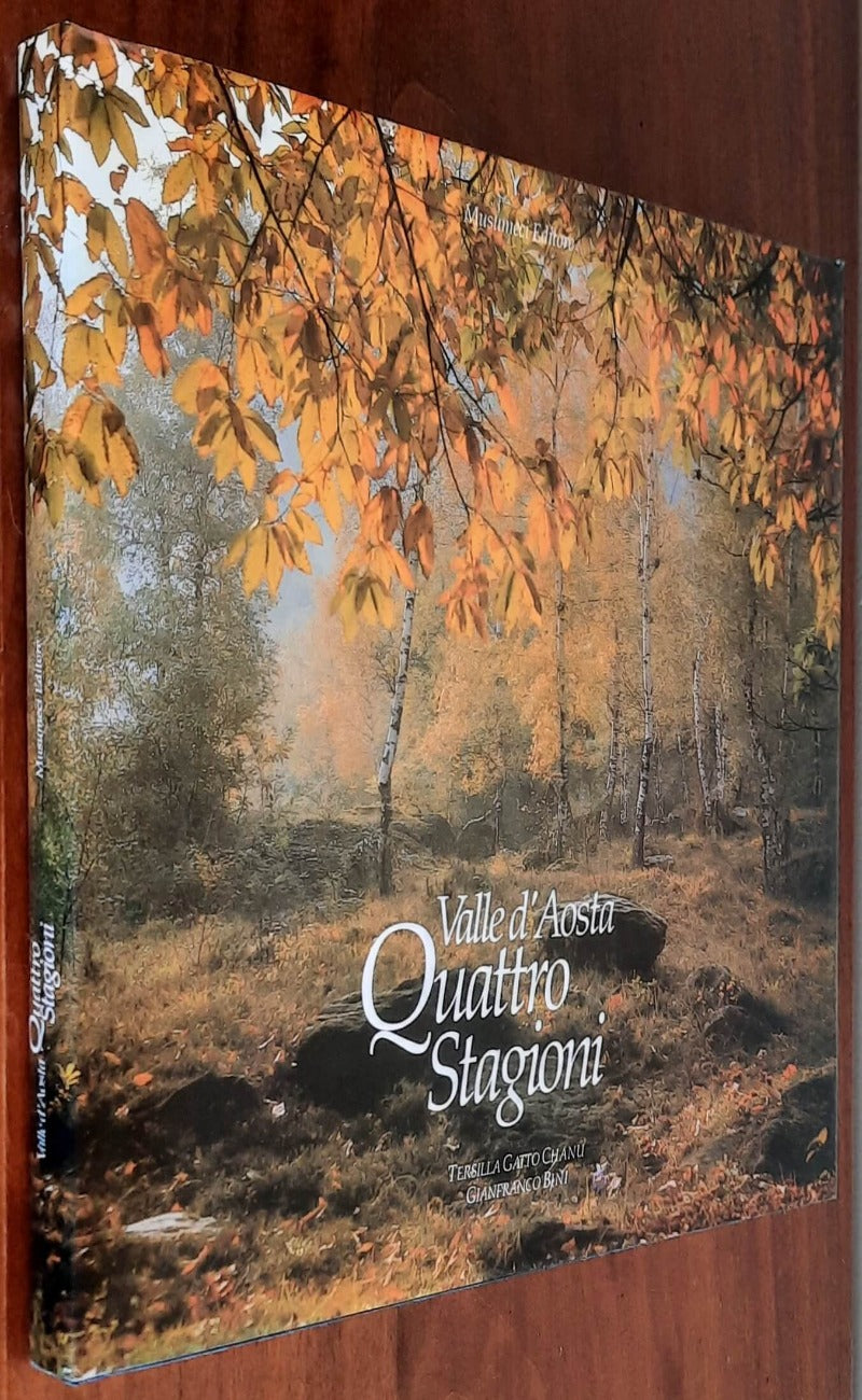 Valle d’Aosta. Quattro stagioni - Musumeci Editore