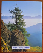 Valtellina Valchiavenna. La porta delle Alpi