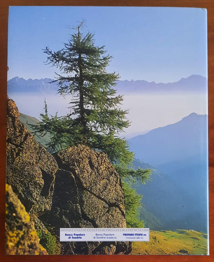 Valtellina Valchiavenna. La porta delle Alpi