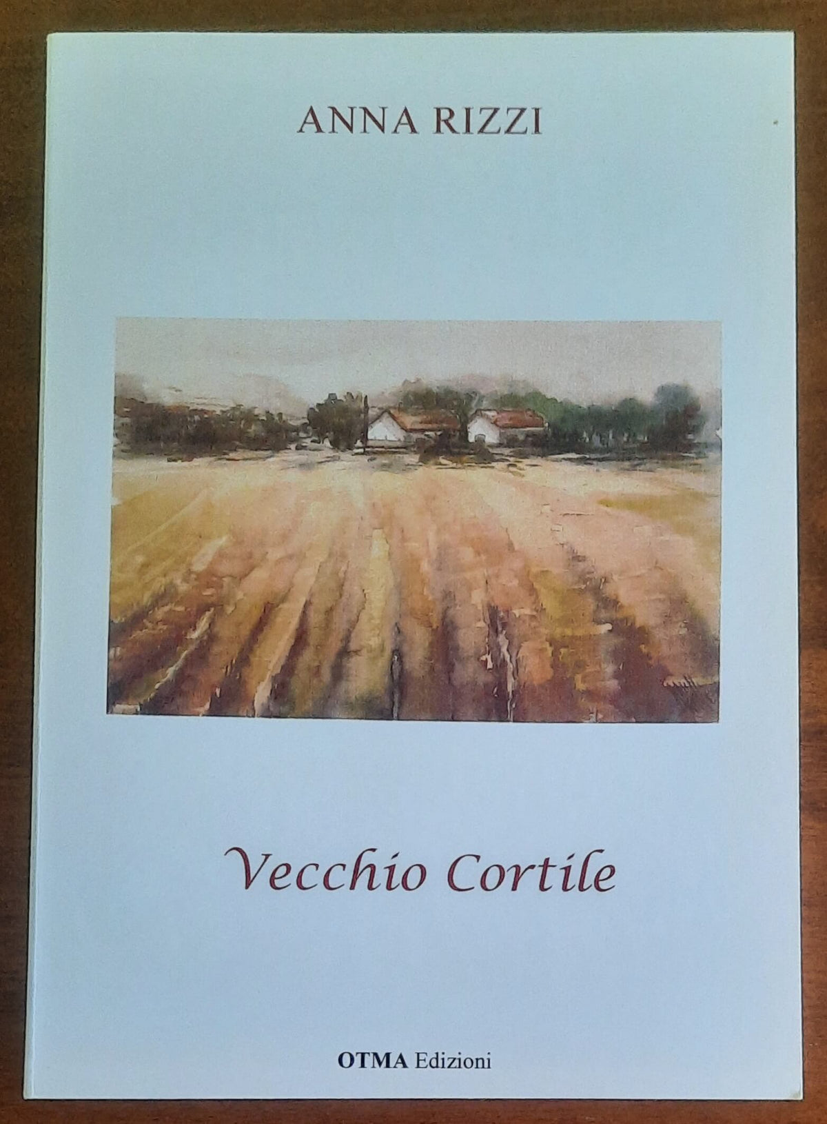 Vecchio Cortile. Racconti - di Anna Rizzi
