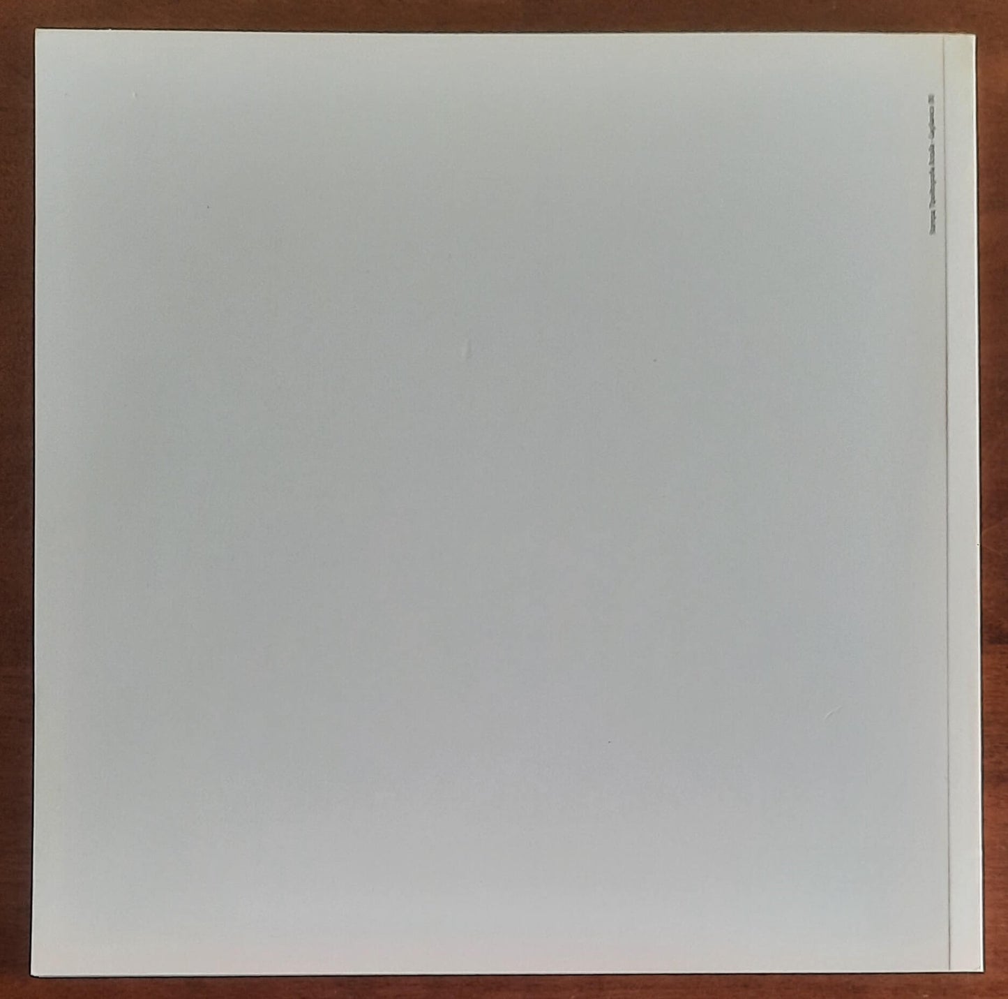 Voli flights - di Stefano Ceretti - 2010