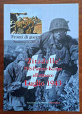 Zitadelle: l'SS-Panzerkorps all'attacco, luglio 1943