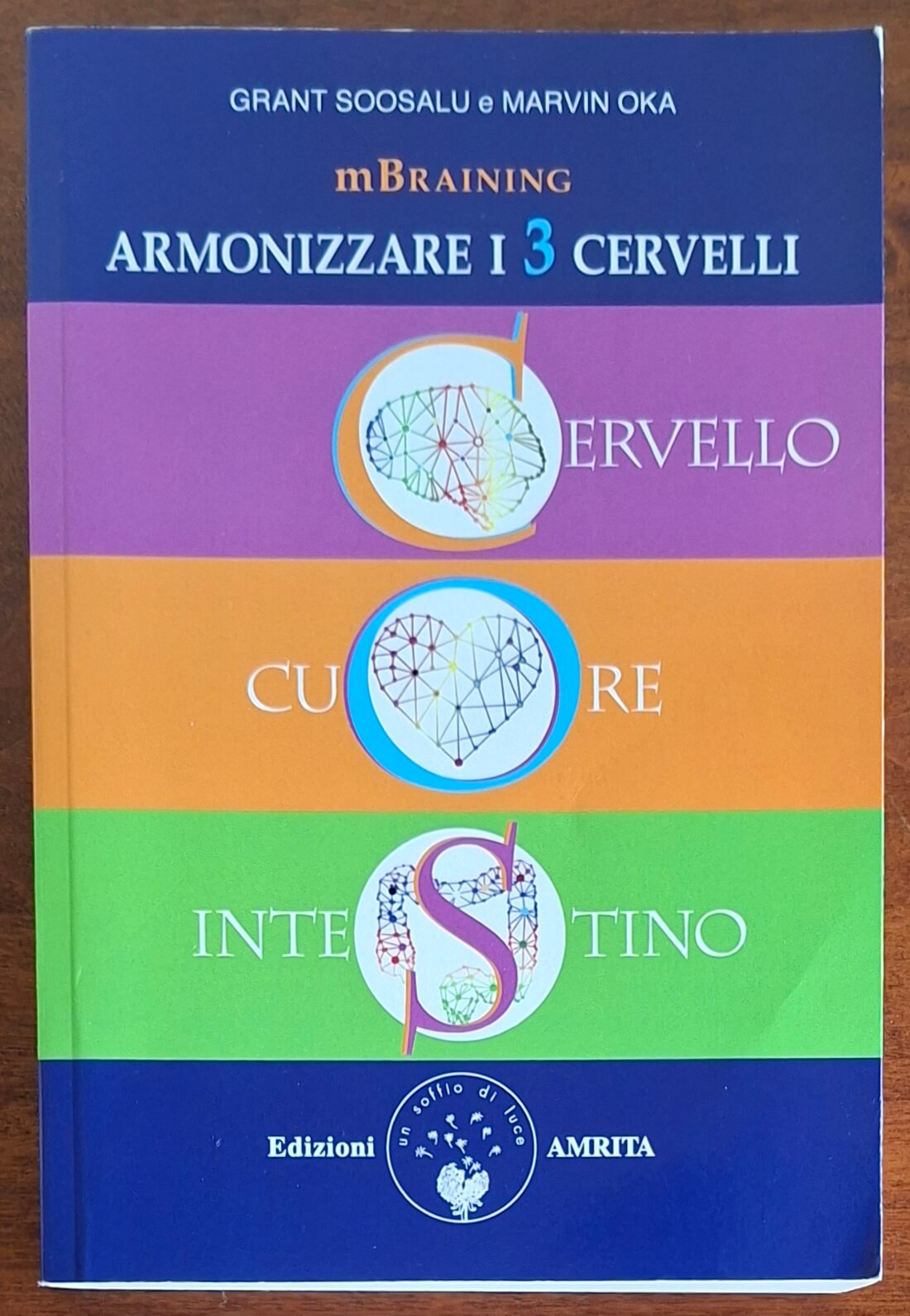 mBraining. Armonizzare i 3 cervelli. Cervello, cuore, intestino