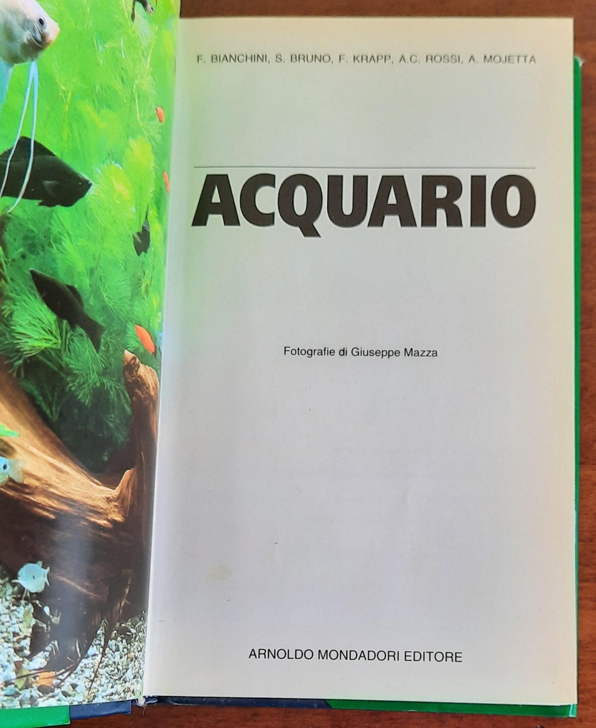 Acquario - Mondadori - 1997 - Libreria Biellese