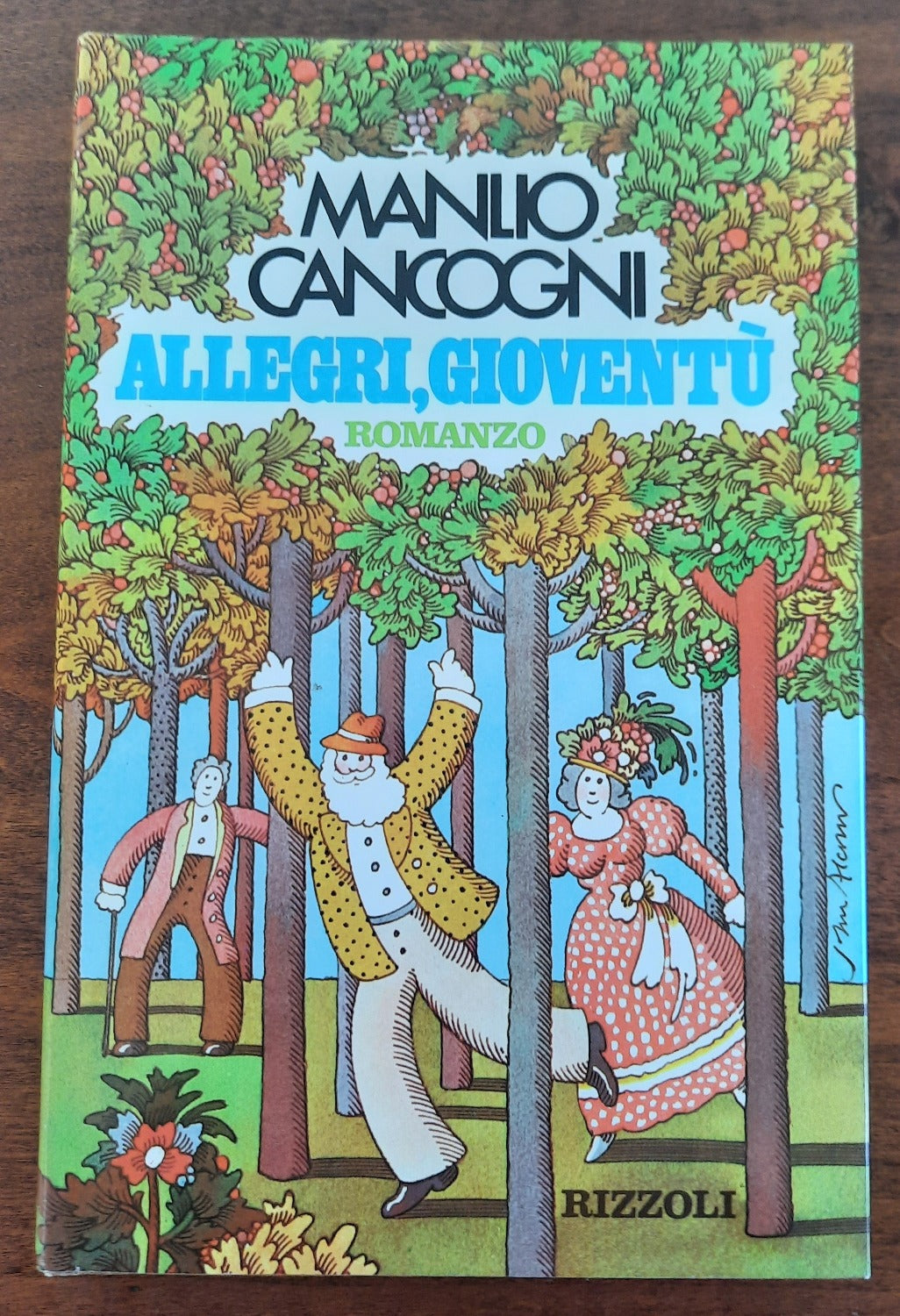 Allegri, gioventù - Libreria Biellese