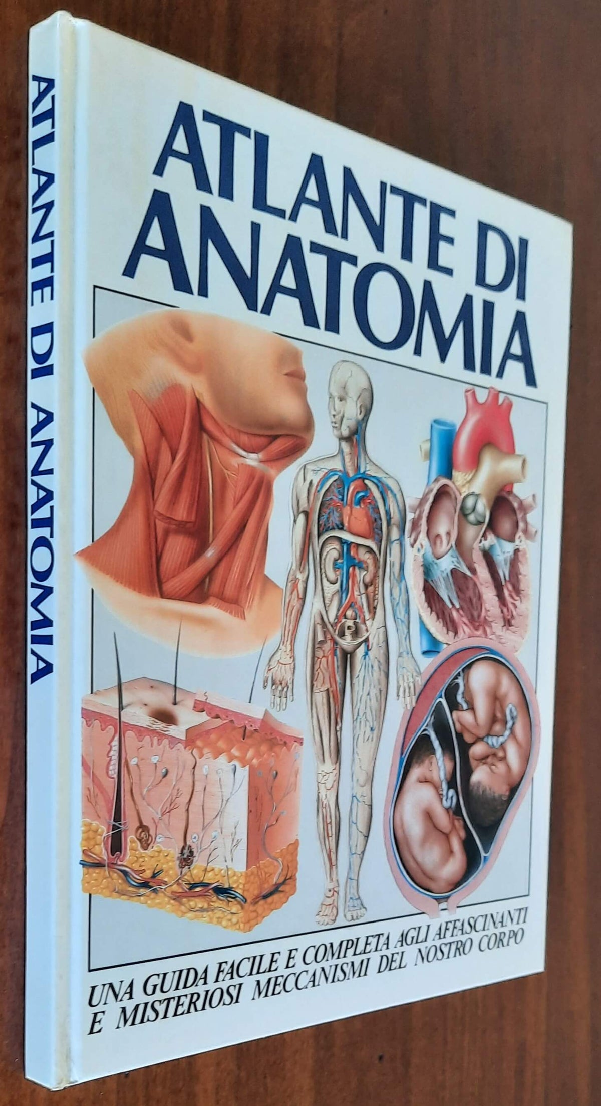 Atlante di anatomia. Una guida facile e completa agli affascinanti e misteriosi meccanismi del nostro corpo - Libreria Biellese