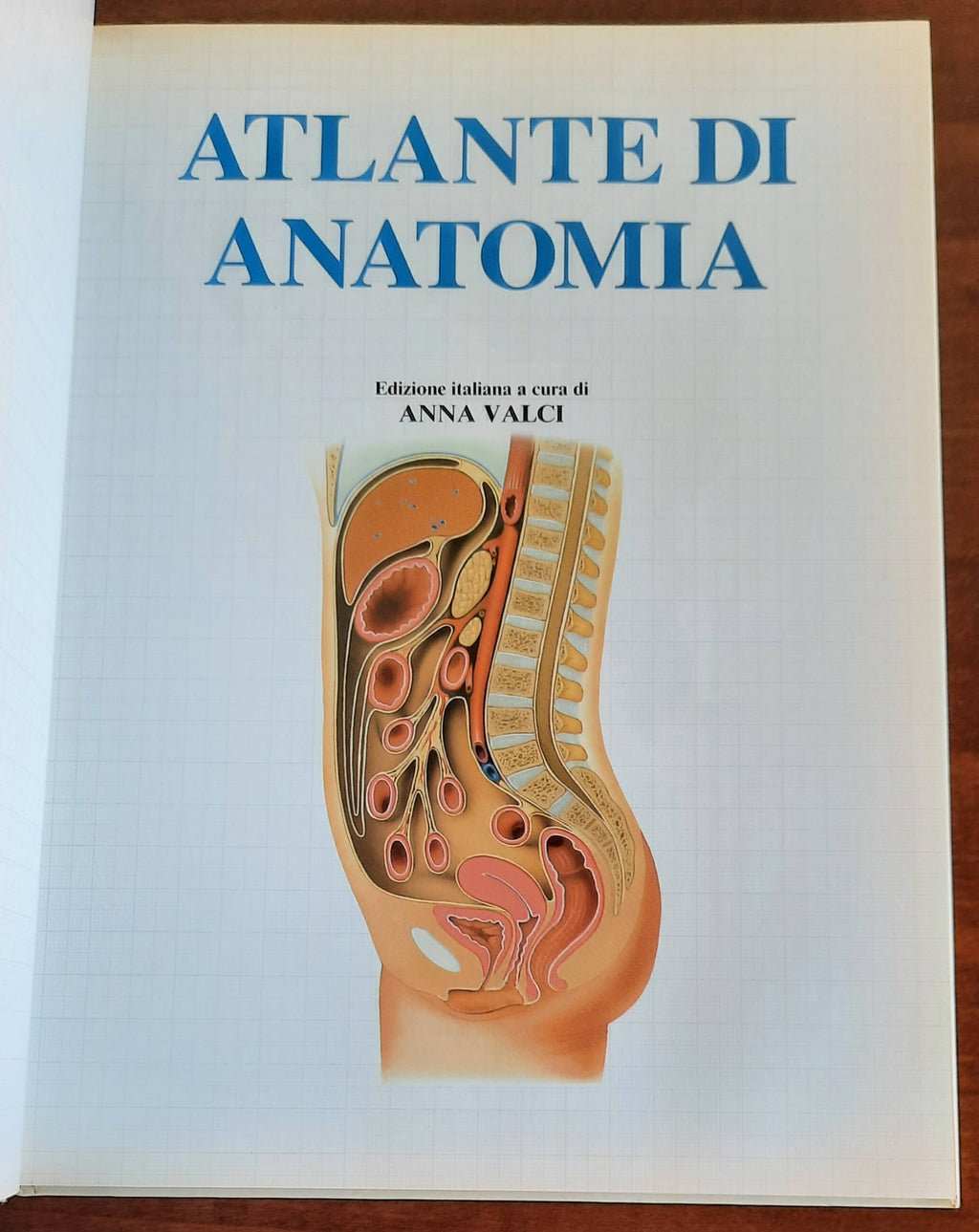 Atlante di anatomia. Una guida facile e completa agli affascinanti e misteriosi meccanismi del nostro corpo - Libreria Biellese