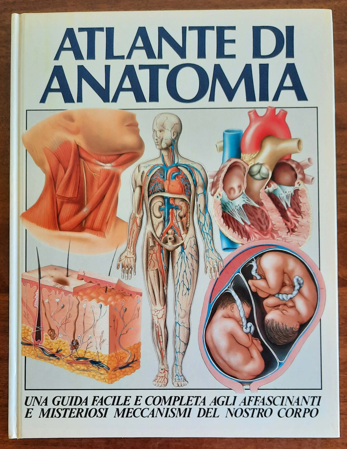 Atlante di anatomia. Una guida facile e completa agli affascinanti e misteriosi meccanismi del nostro corpo - Libreria Biellese