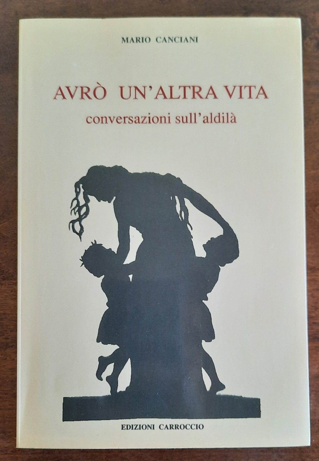 Avrò un’altra vita. Conversazioni sull’aldilà - Libreria Biellese