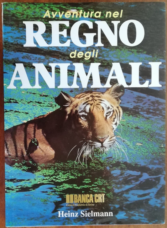 Avventura nel regno degli animali