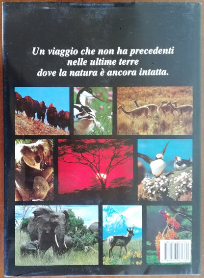 Avventura nel regno degli animali