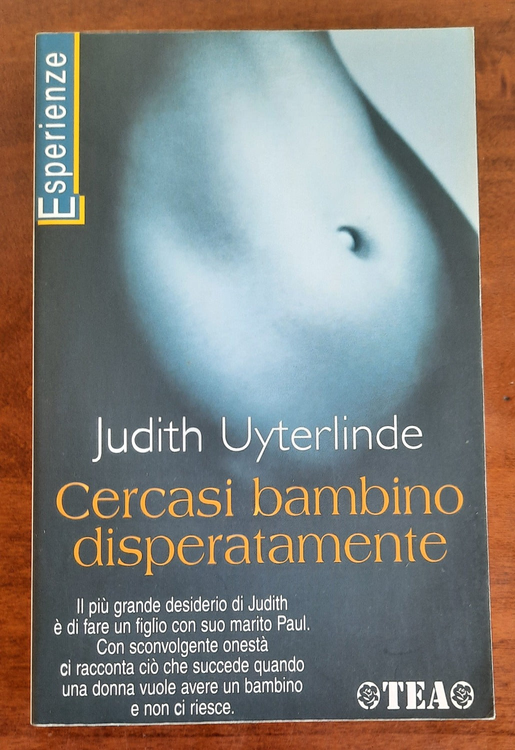 Cercasi bambino disperatamente. Una storia sull’amore e sul desiderio di avere un figlio - Libreria Biellese