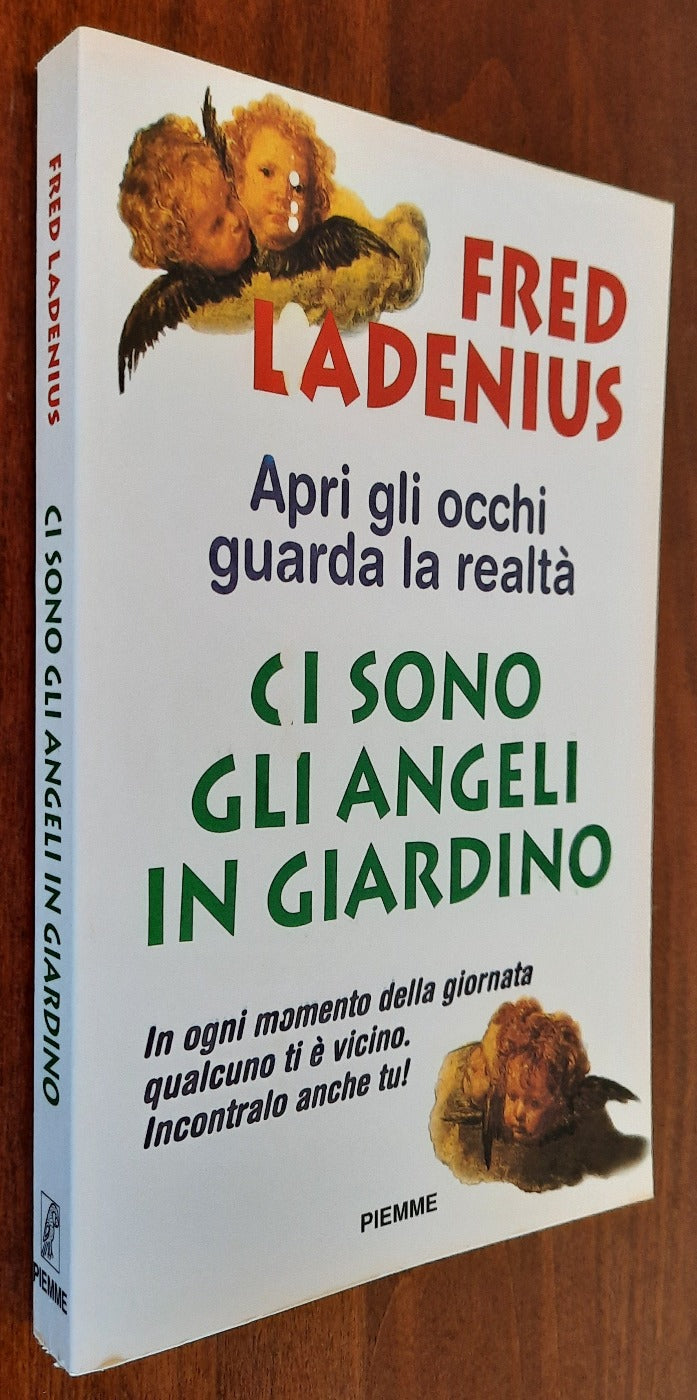 Ci sono gli angeli in giardino. In ogni momento della giornata qualcuno ti è vicino. Incontralo anche tu! - Libreria Biellese