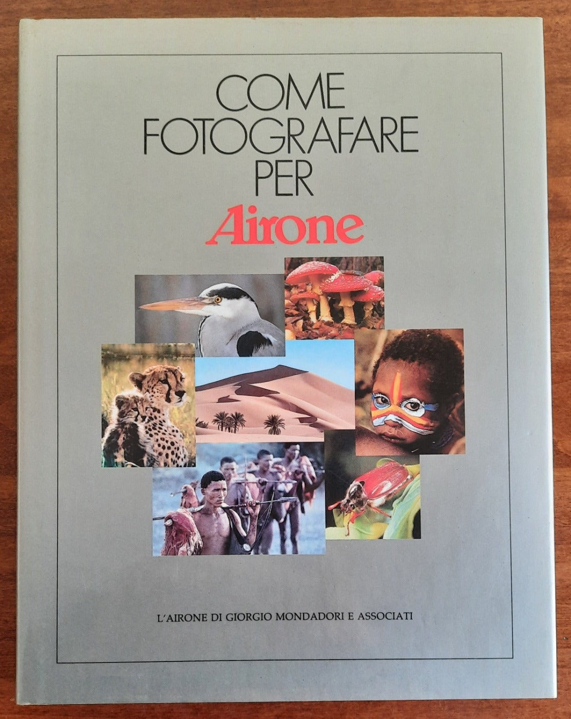 Come fotografare per Airone