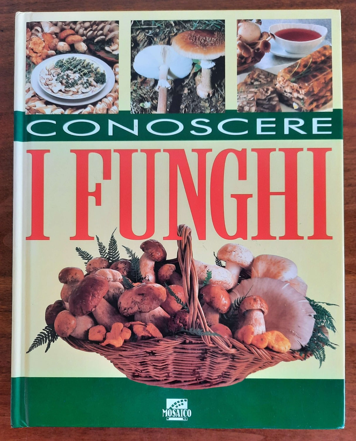 Conoscere i funghi