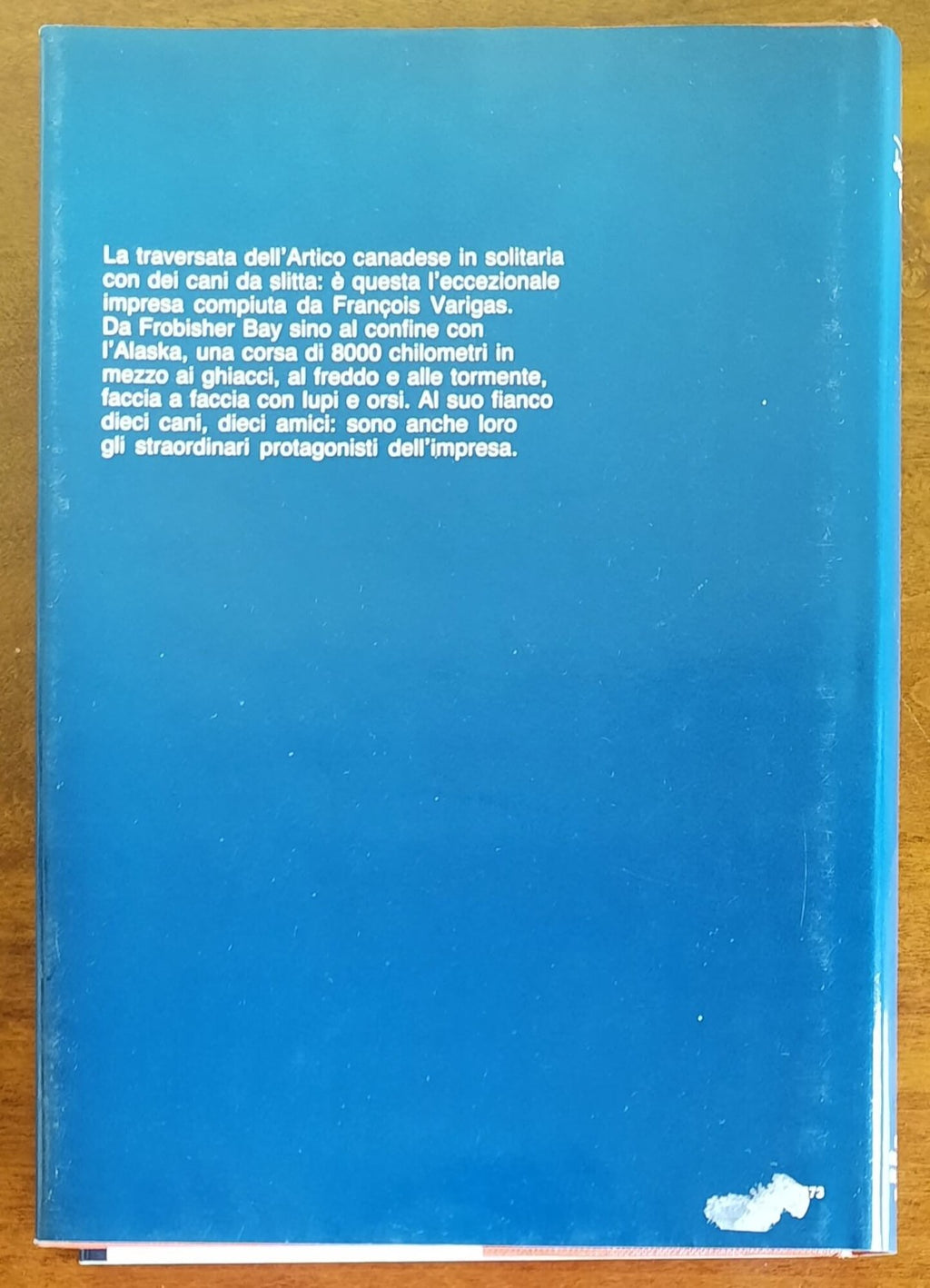 Dieci cani per un sogno - De Agostini - 1984 - Libreria Biellese