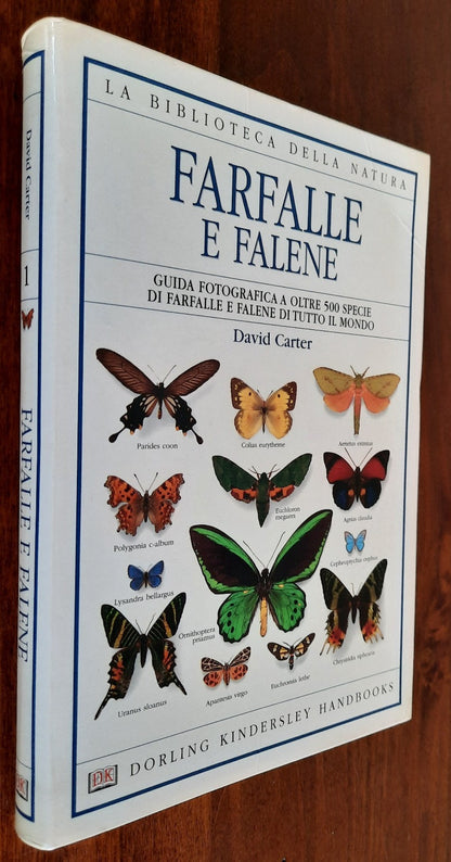 Farfalle e falene