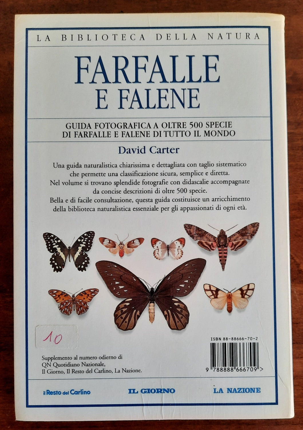 Farfalle e falene