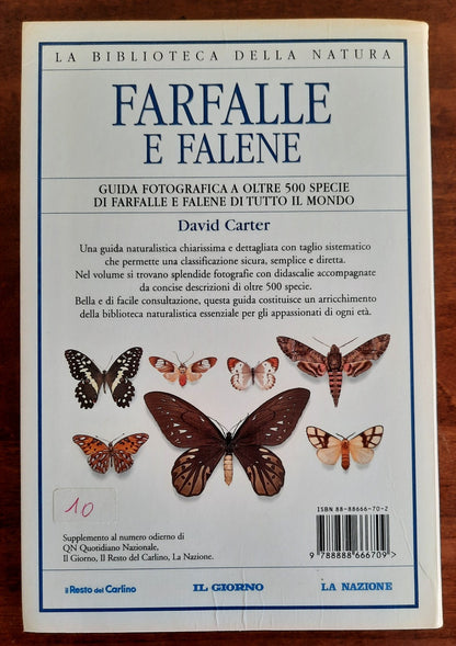 Farfalle e falene