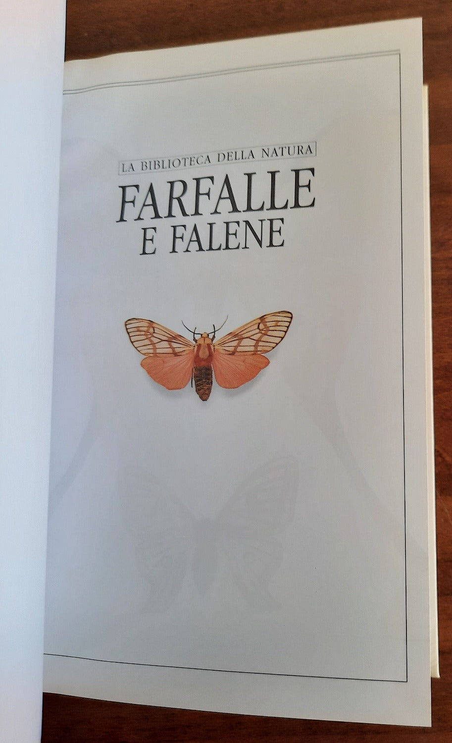 Farfalle e falene - Libreria Biellese