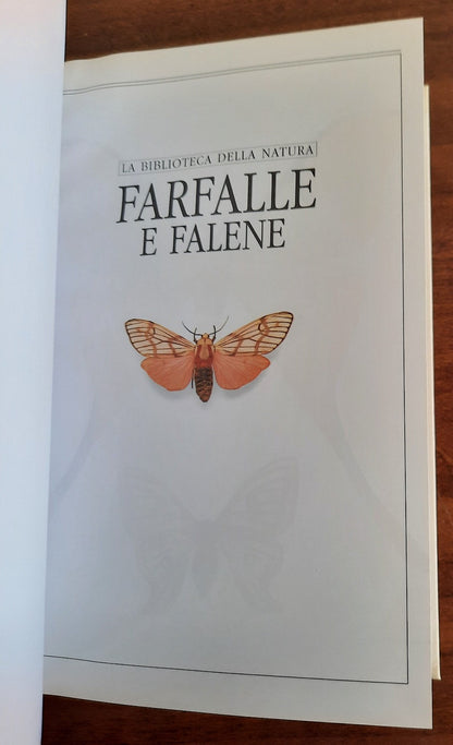 Farfalle e falene