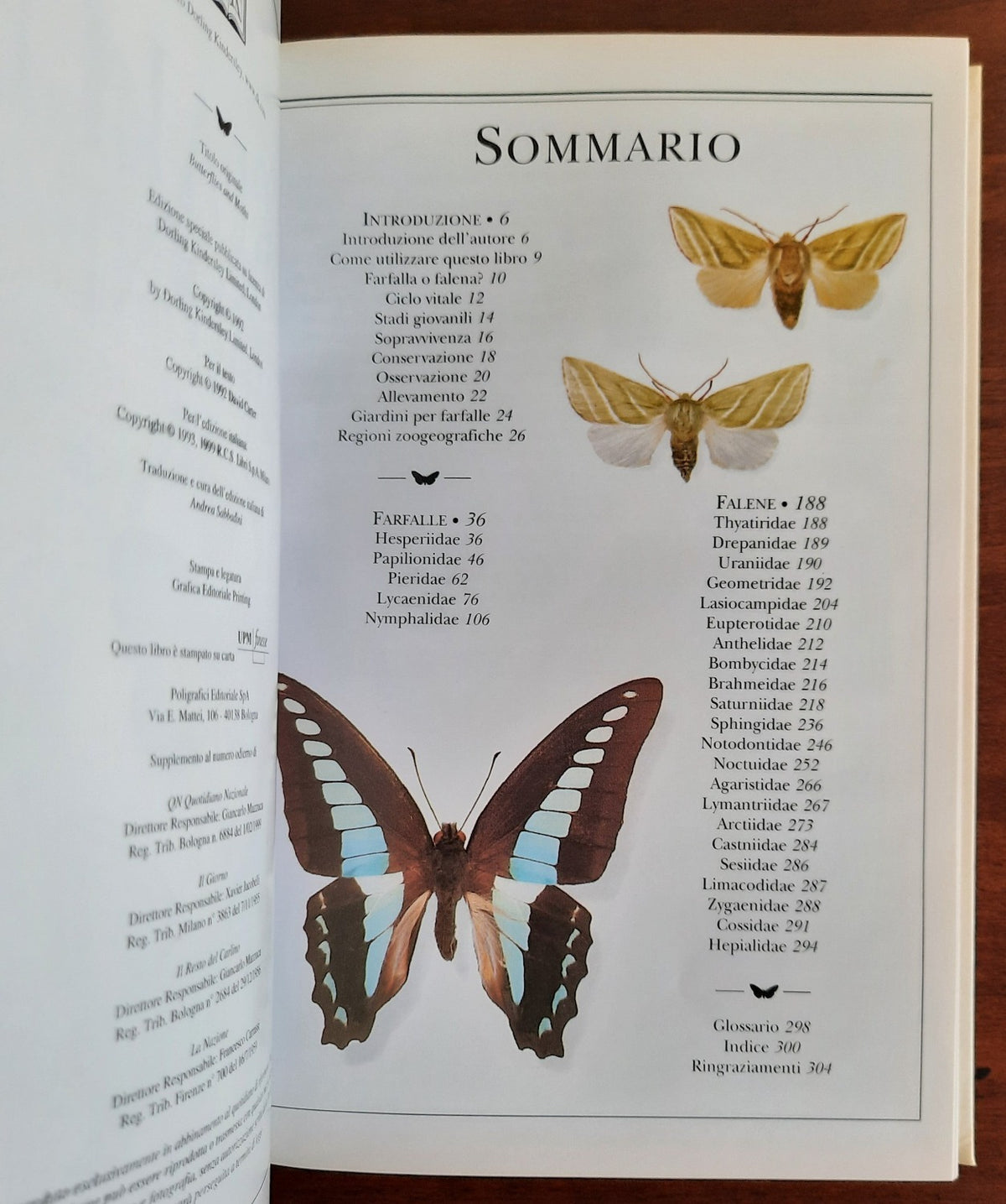 Farfalle e falene - Libreria Biellese