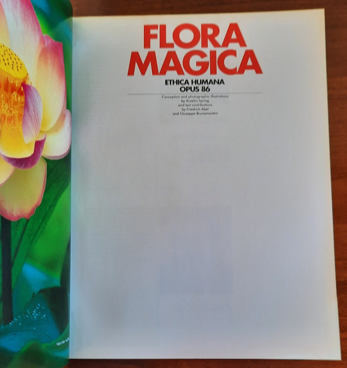 Flora magica. Ethica Humana Opus 86 - Libreria Biellese