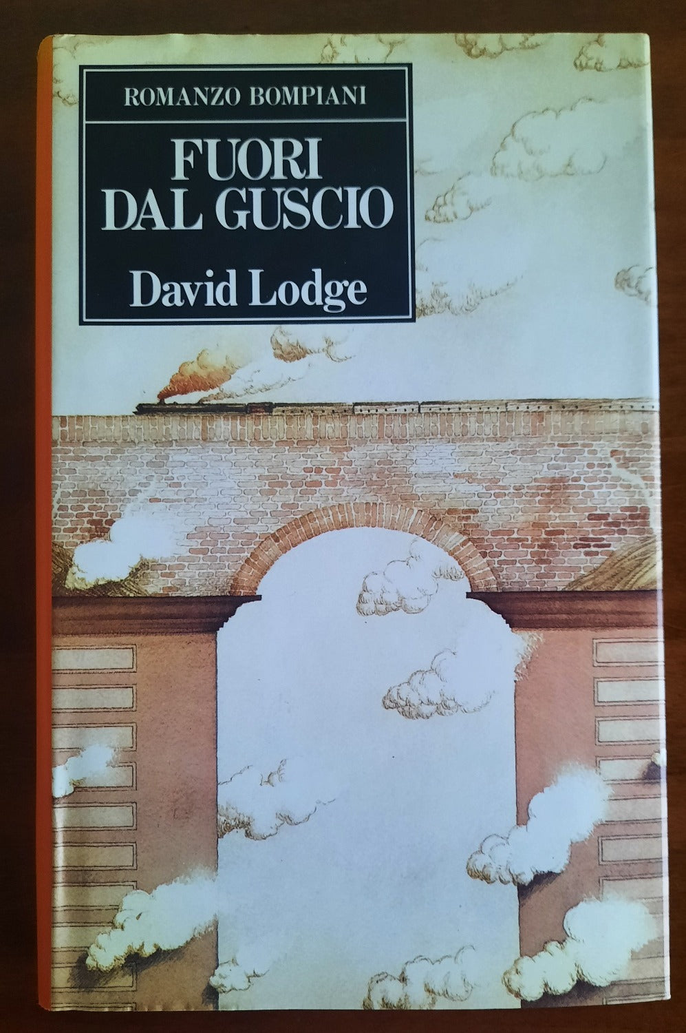Fuori dal guscio - Bompiani - Libreria Biellese