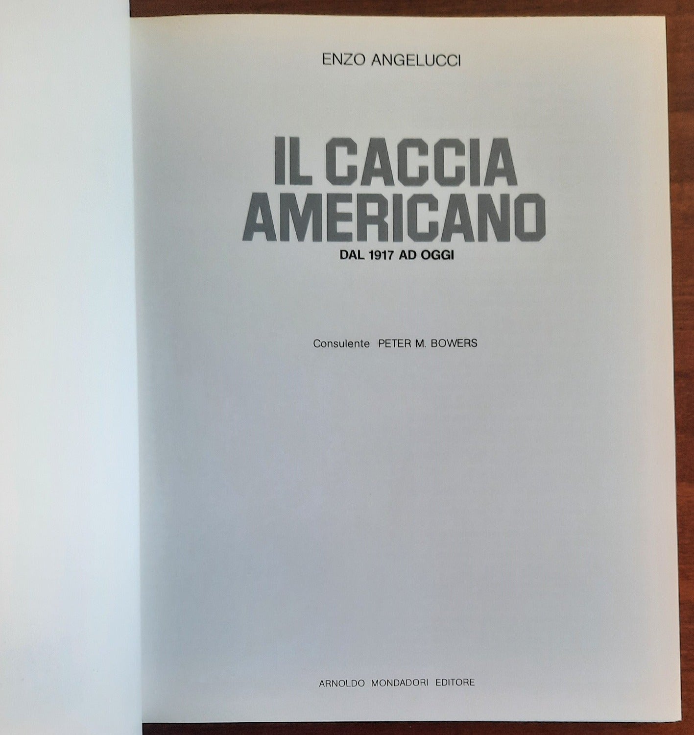 Il caccia americano dal 1917 ad oggi. Una enciclopedia di tutti i modelli e loro varianti progettati e realizzati negli Stati Uniti