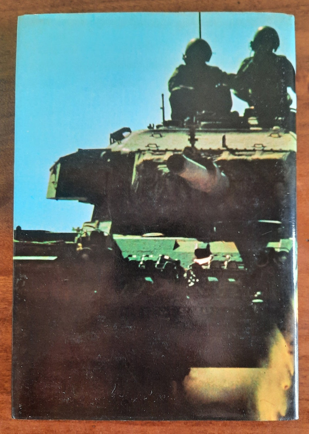 I cannoni del Sinai - Libreria Biellese