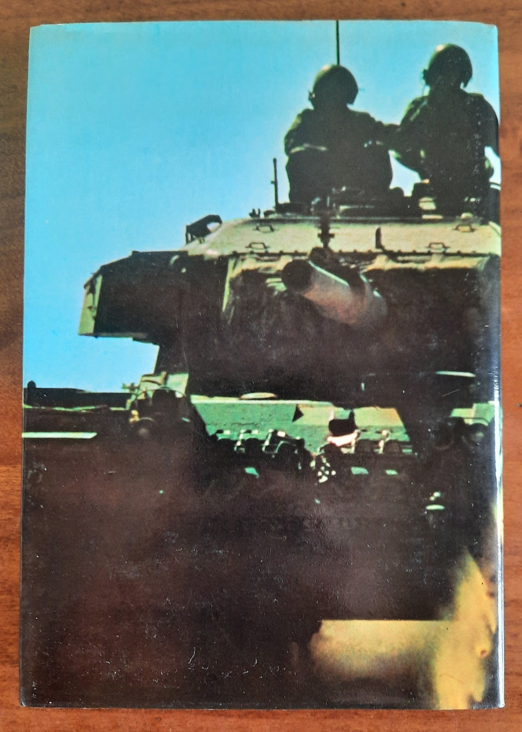 I cannoni del Sinai - Libreria Biellese