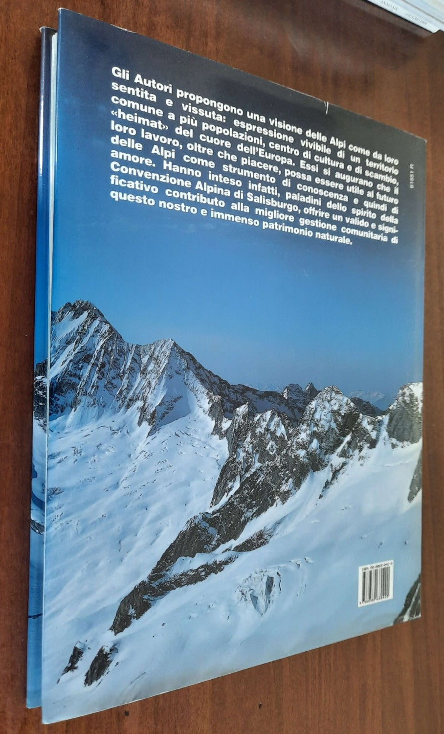 I grandi spazi delle Alpi - vol. 4. Bernina - Masino - Oberland - Grigioni - Libreria Biellese