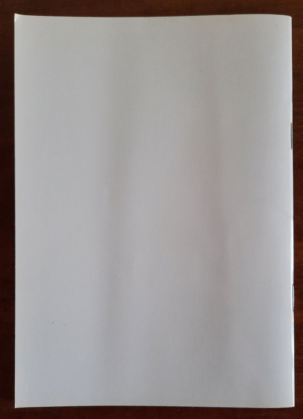 Il codice Alessandrino. L’Enigma non più completamente tale del manoscritto del XII/XIII secolo conservato presso la Biblioteca Alessandrina - Libreria Biellese
