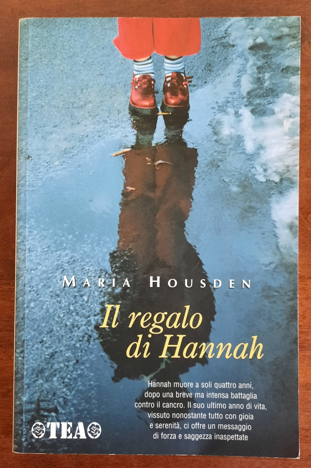 Il regalo di Hannah - Libreria Biellese