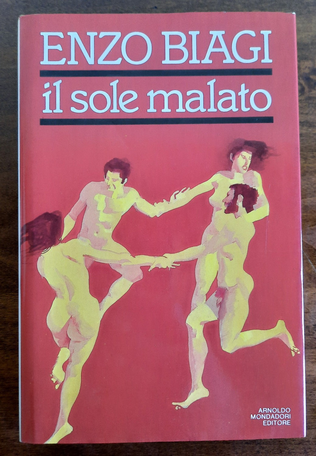 Il sole malato: viaggio nella paura dell’AIDS - Libreria Biellese