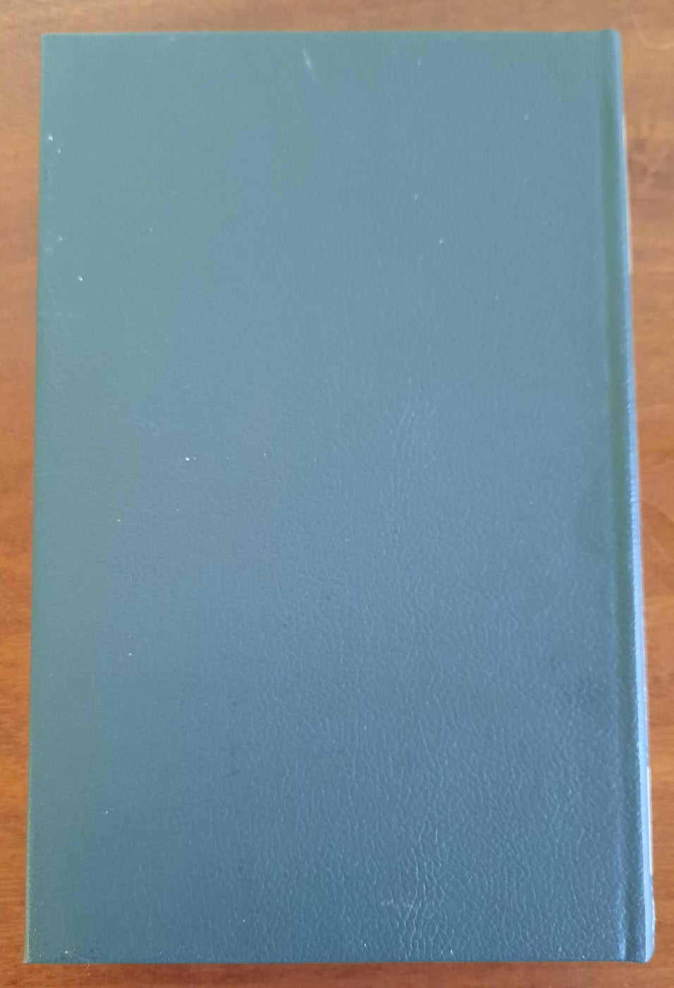 Il tempo di Giulio Cesare. Vite di Pompeo, Cesare, Cicerone, Bruto, Antonio