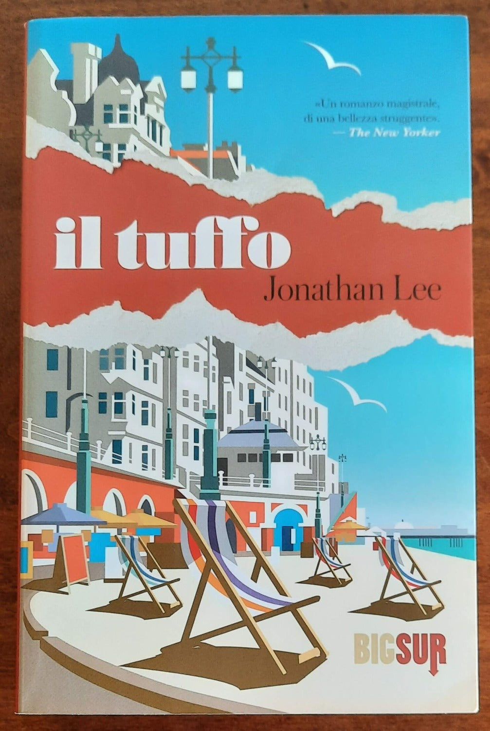 Il tuffo - di Jonathan Lee - Libreria Biellese