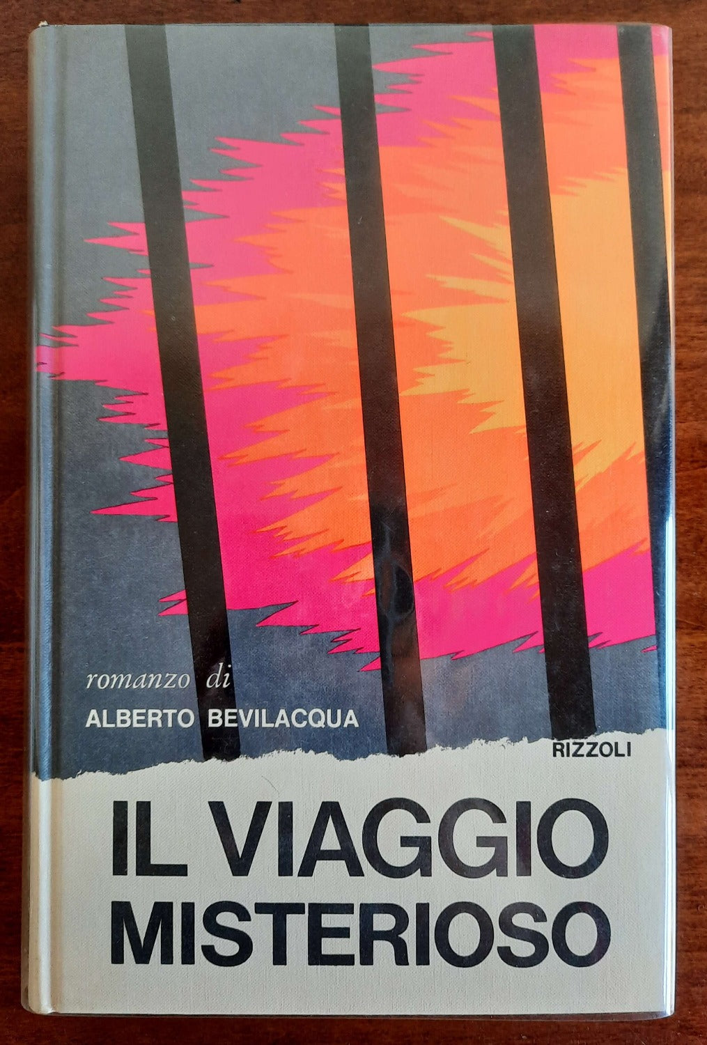 Il viaggio misterioso - Rizzoli - 1972 - Libreria Biellese