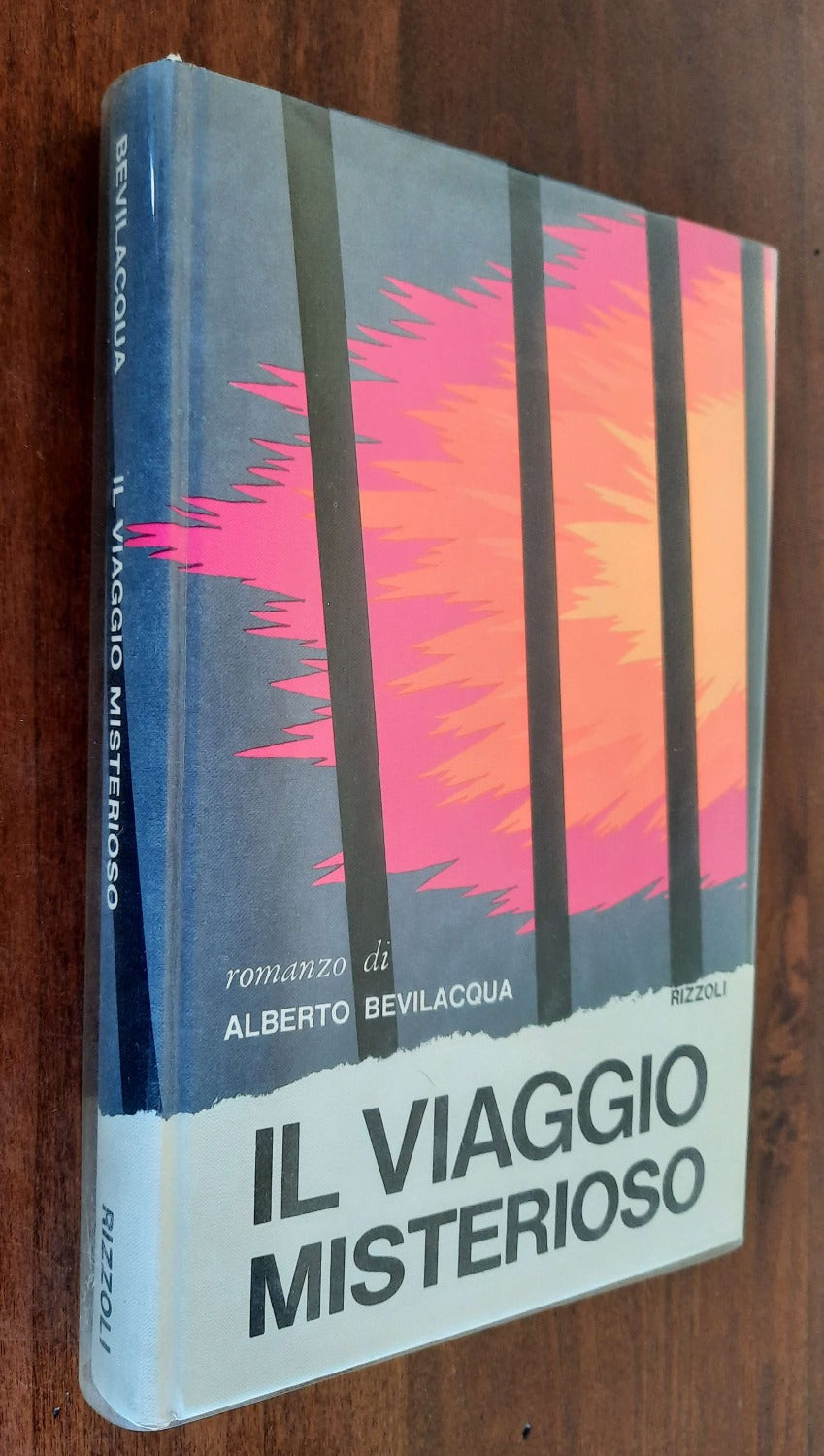Il viaggio misterioso - Rizzoli - 1972 - Libreria Biellese