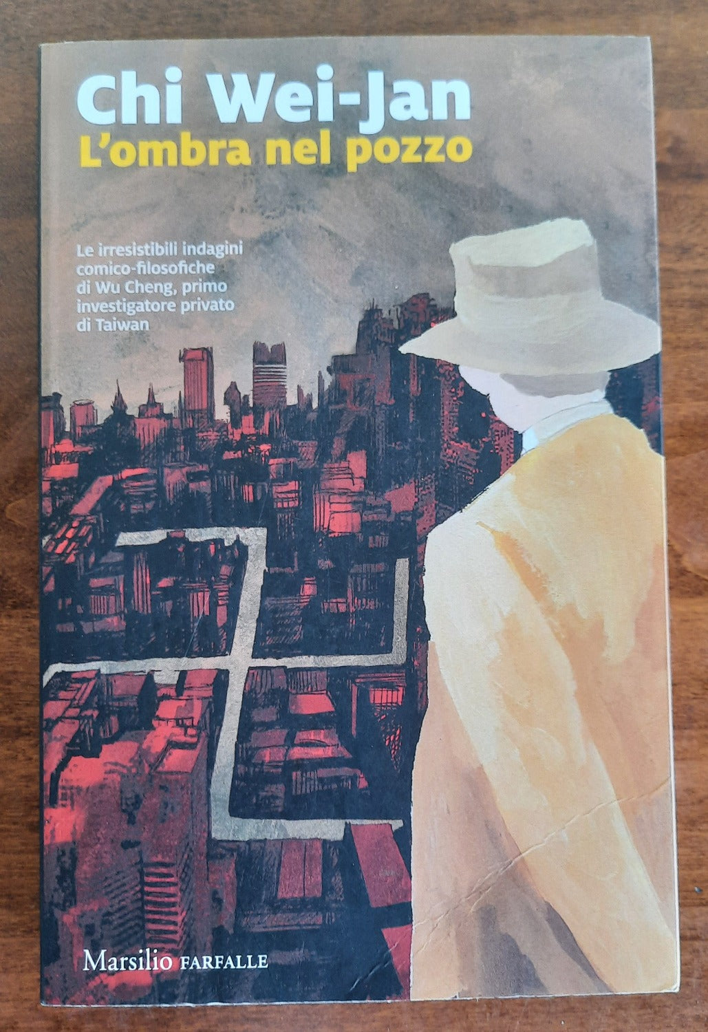 L’ombra nel pozzo - Libreria Biellese