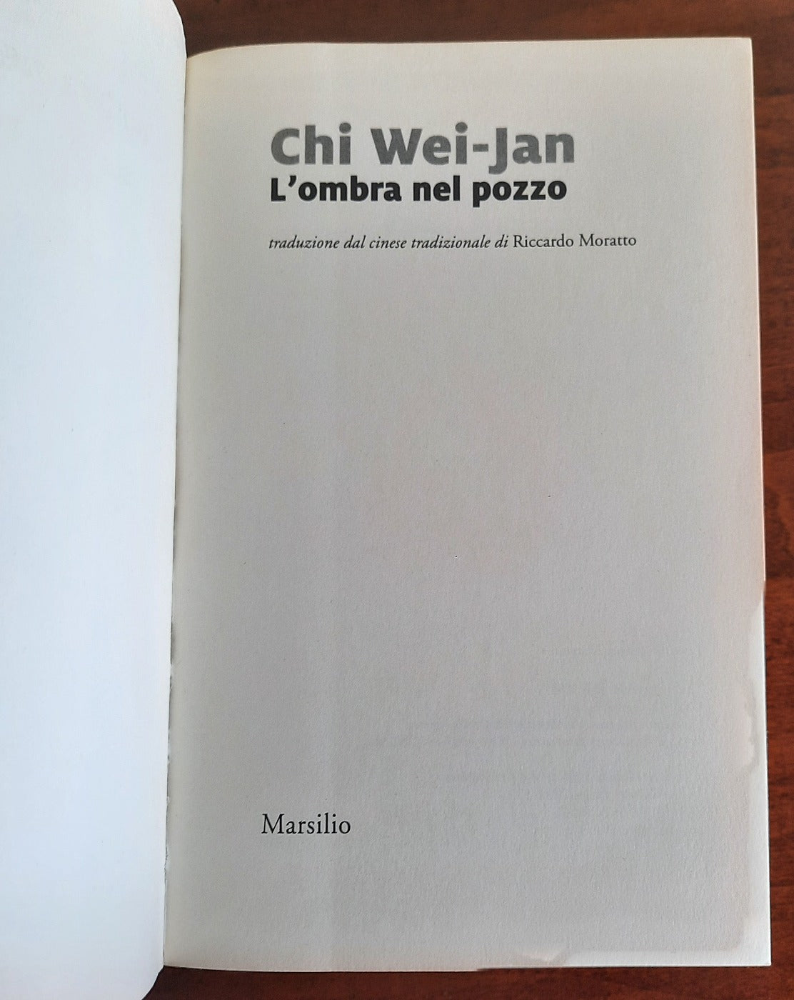 L’ombra nel pozzo - Libreria Biellese