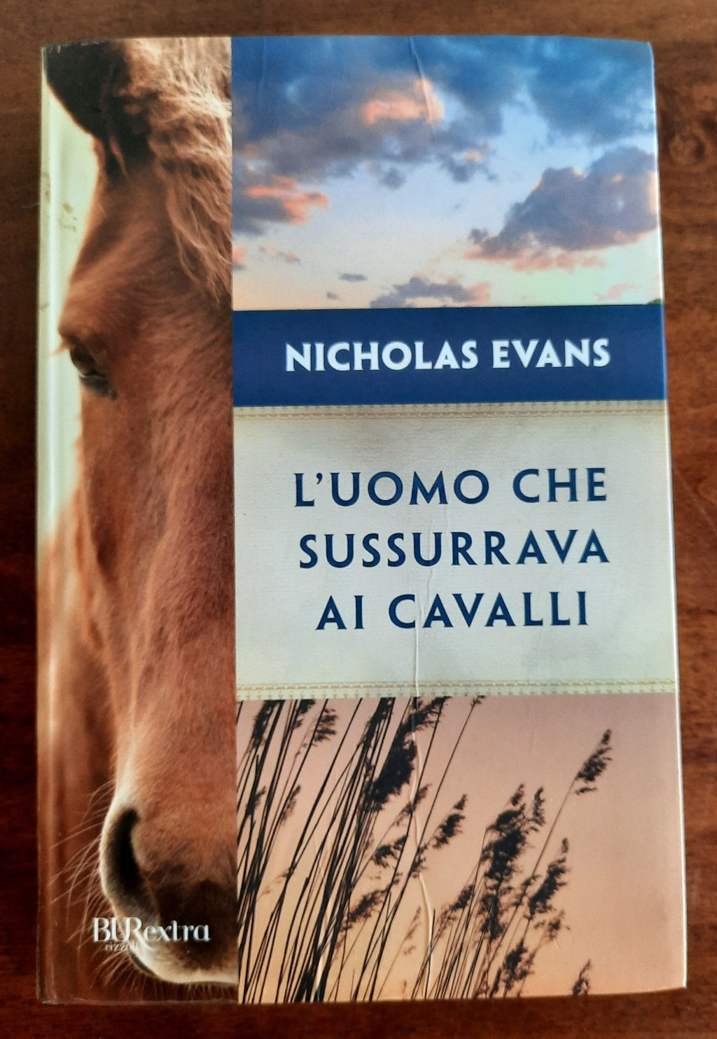 L’uomo che sussurrava ai cavalli - Libreria Biellese
