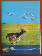 La caccia fotografica - Libreria Biellese