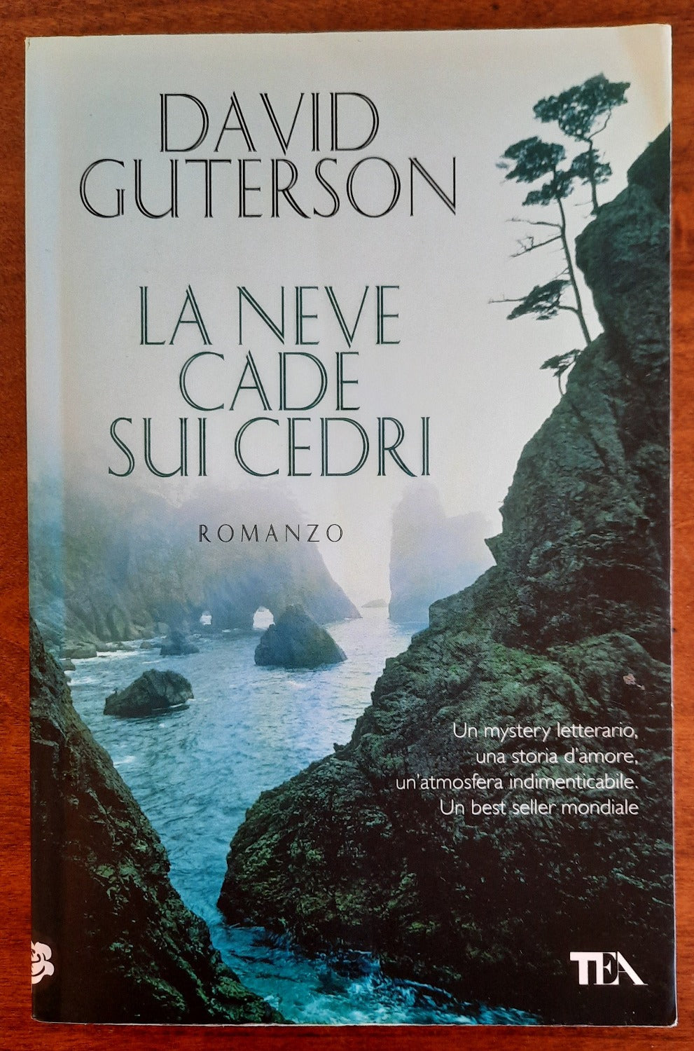 La neve cade sui cedri - Libreria Biellese
