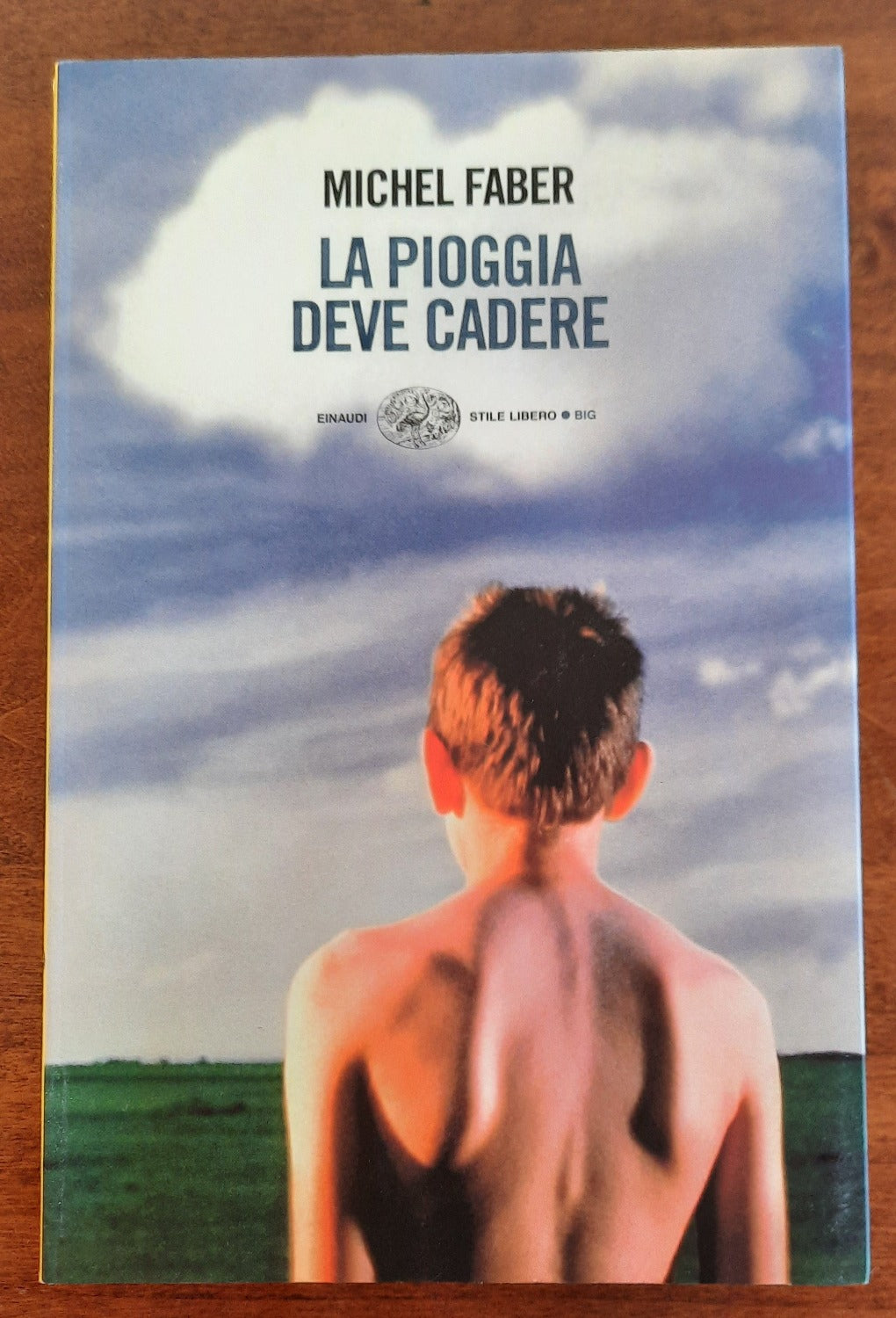La pioggia deve cadere - Einaudi - Libreria Biellese