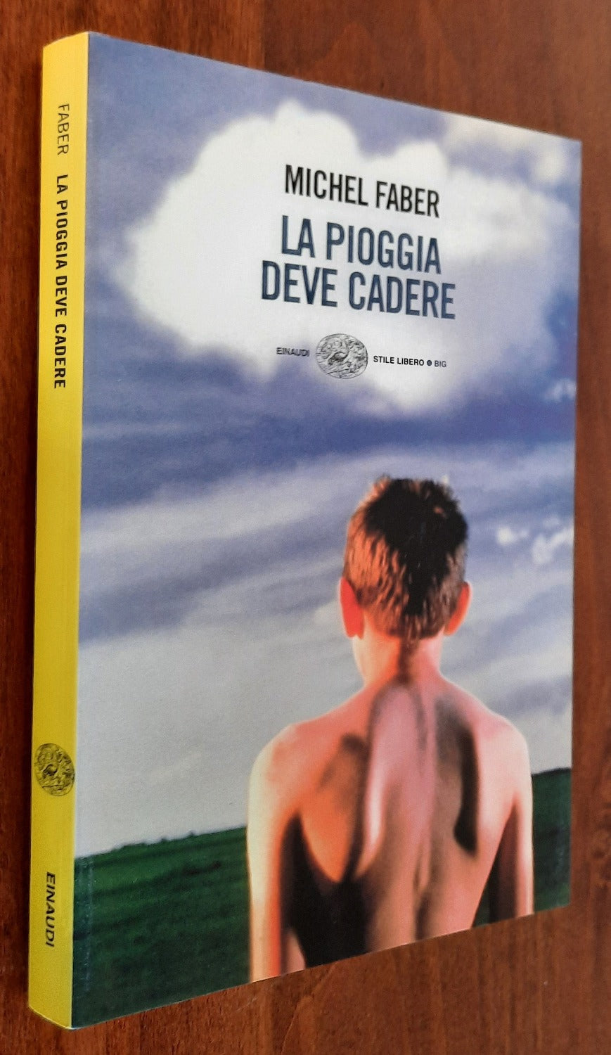 La pioggia deve cadere - Einaudi - Libreria Biellese