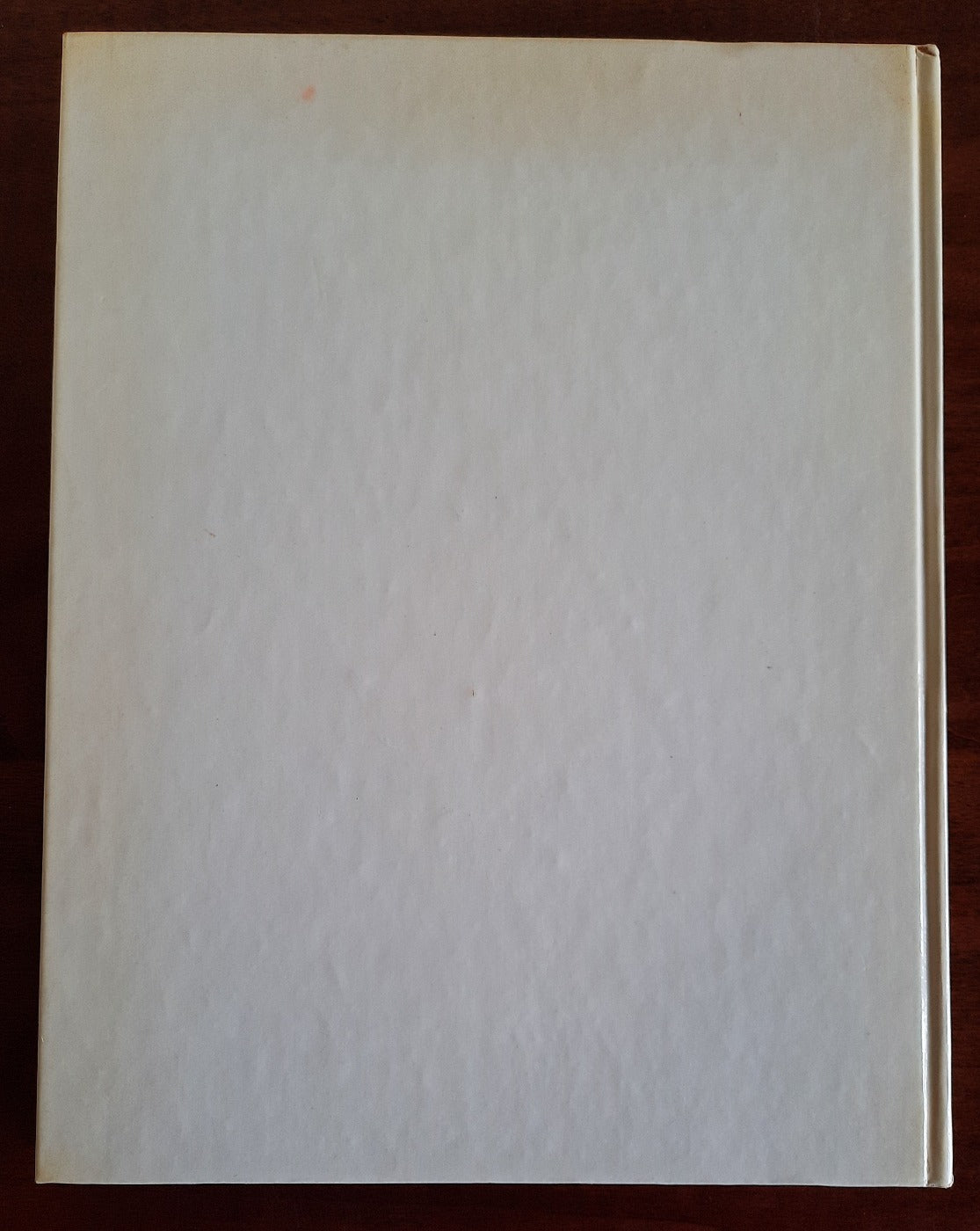 La pittura italiana dell’Ottocento - Libreria Biellese