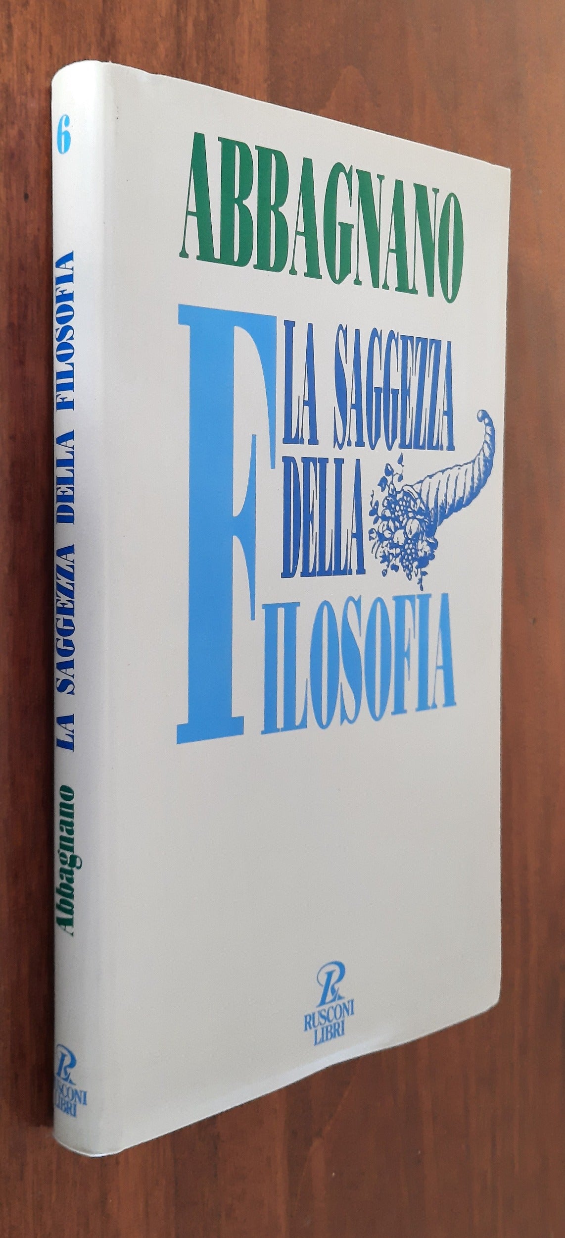 La saggezza della filosofia. I problemi della nostra vita