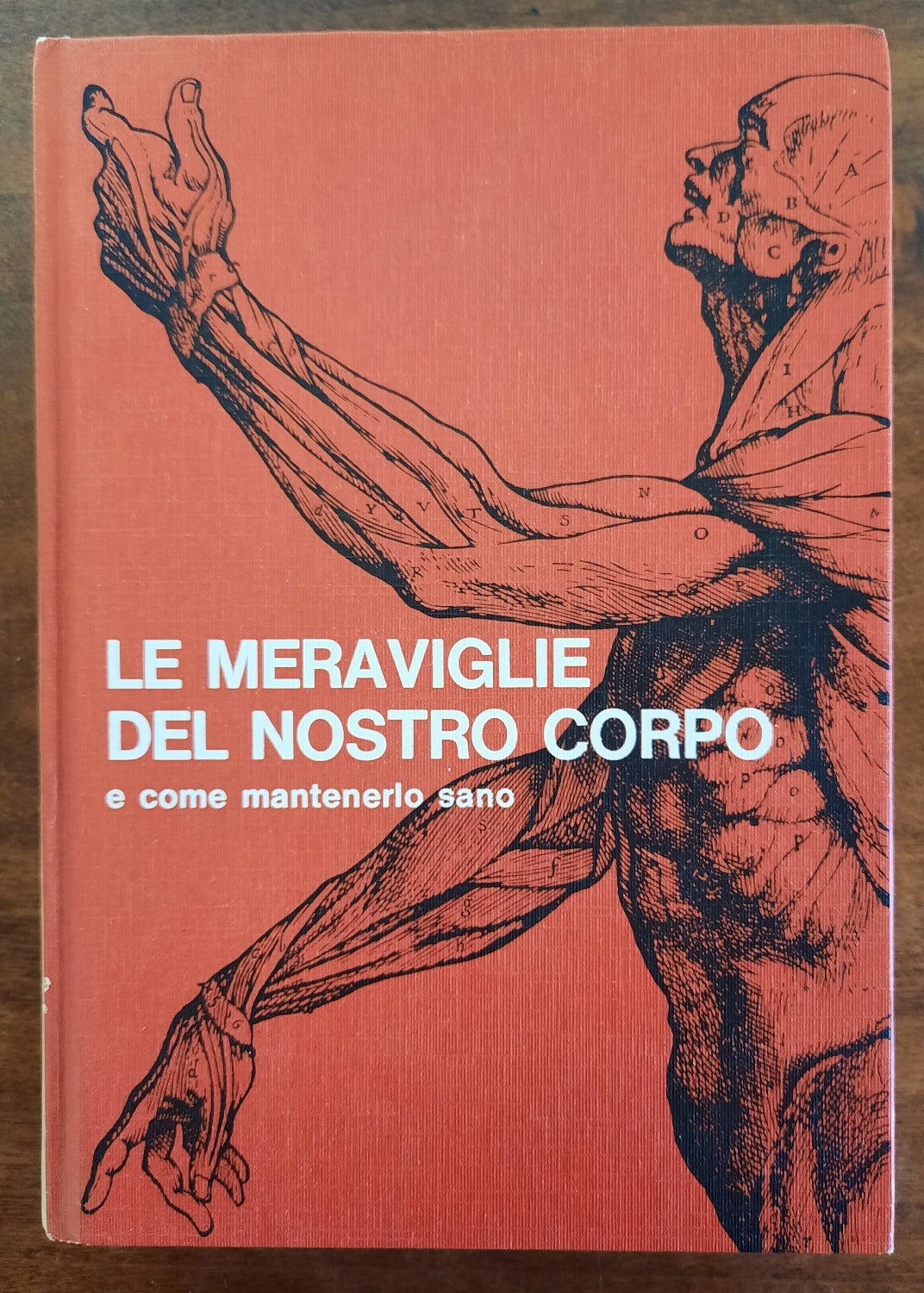 Le meraviglie del nostro corpo e come mantenerlo sano - Libreria Biellese