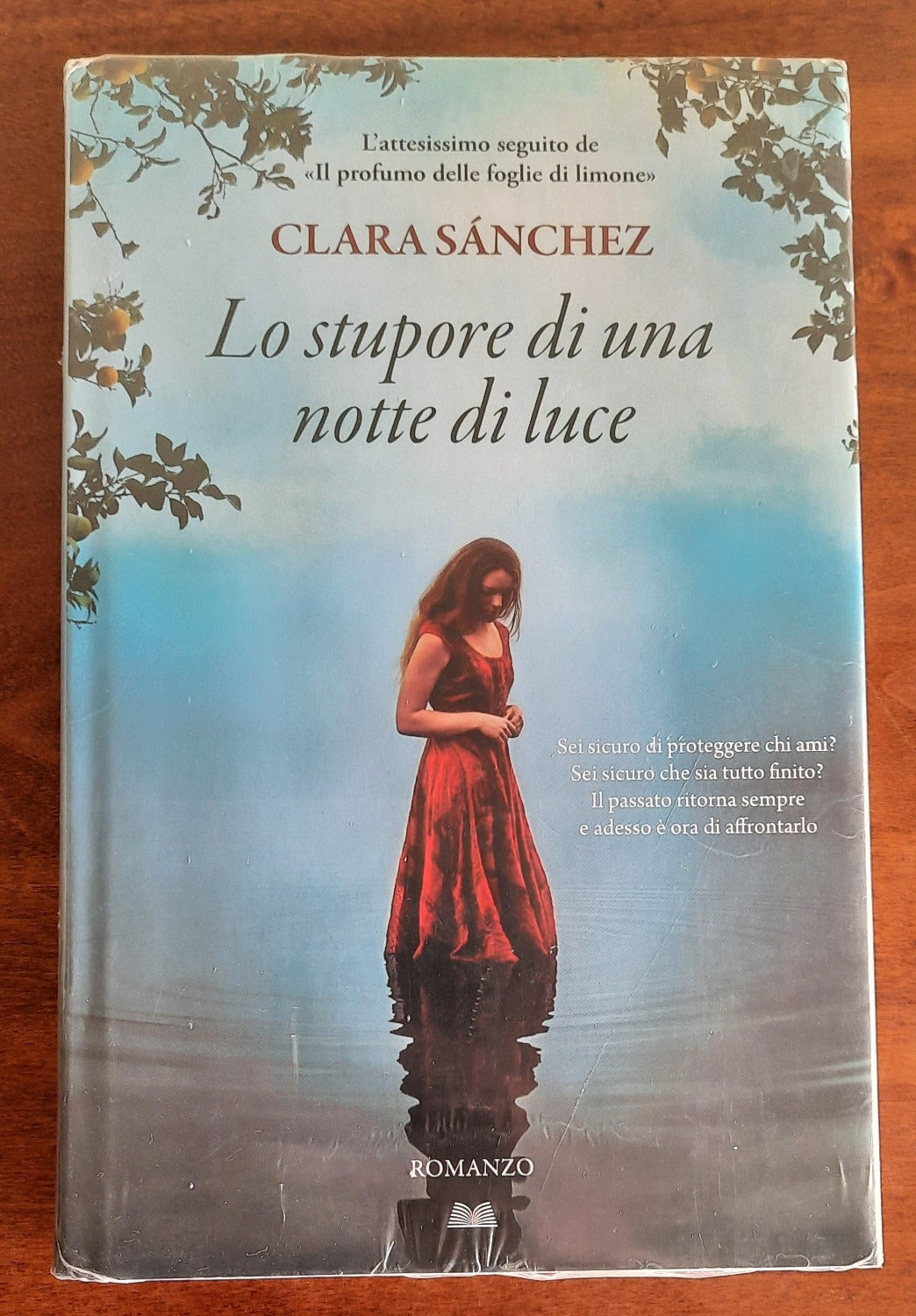 Lo stupore di una notte di luce - Libreria Biellese